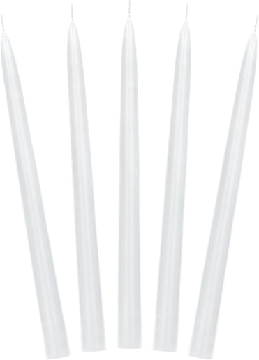Feestbazaar Dinerkaarsen Wit Mat 24cm (10st)