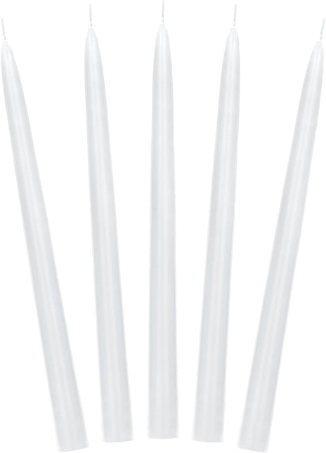 Feestbazaar Dinerkaarsen Wit Mat 24cm (10st)