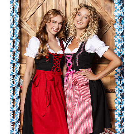 Feestbazaar Dirndl Frau Fischer Roze