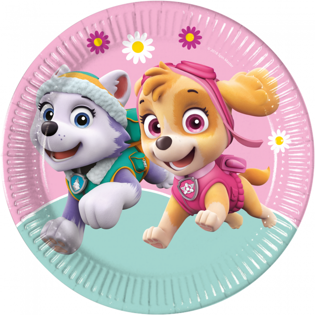Feestbazaar Feestborden Paw Patrol Skye & Everest (8st)