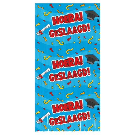 Feestbazaar Feestgordijn Hoera Geslaagd Cartoon Blauw