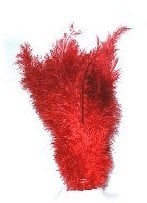 Feestbazaar Floss veer rood