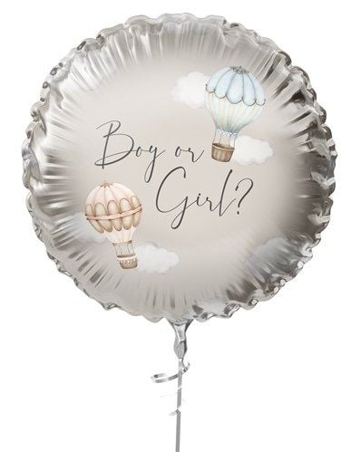 Feestbazaar Folie Ballon Baby Balloons Gender Reveal Classic