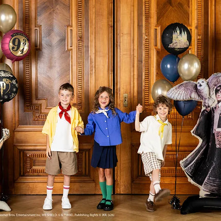 Feestbazaar Folieballon Groot Harry Potter Hedwig 145cm