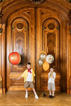Feestbazaar Folieballon Harry Potter Zweinstein 35cm