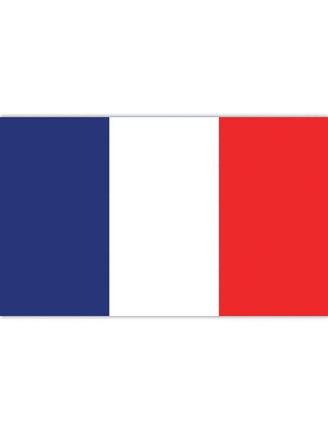 Feestbazaar Franse Vlag 90 x 150cm