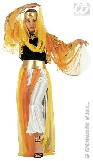 Feestbazaar Geklede Harem danseres luxe