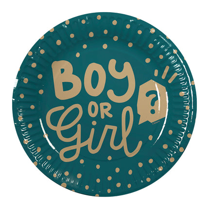 Feestbazaar Gender Reveal Bordjes Boy or Girl (10st)