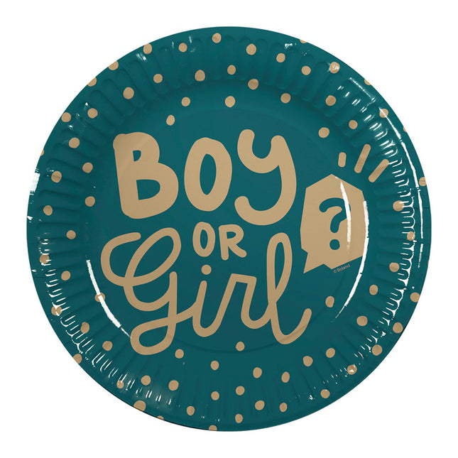 Feestbazaar Gender Reveal Bordjes Boy or Girl (10st)