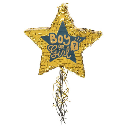 Feestbazaar Gender Reveal Pinata Ster Boy or Girl