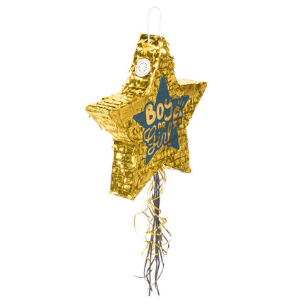 Feestbazaar Gender Reveal Pinata Ster Boy or Girl