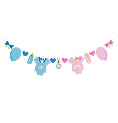 Feestbazaar Gender Reveal Thema Slinger Boy Or Girl (2m)