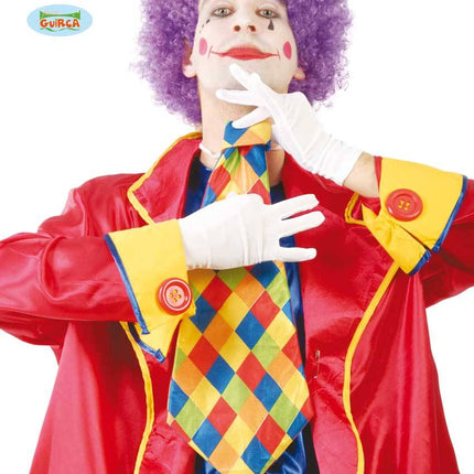 Feestbazaar Geruite Stropdas Clown