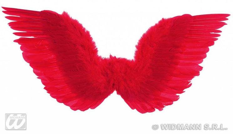 Feestbazaar Gevederde vleugels rood 86x31cm