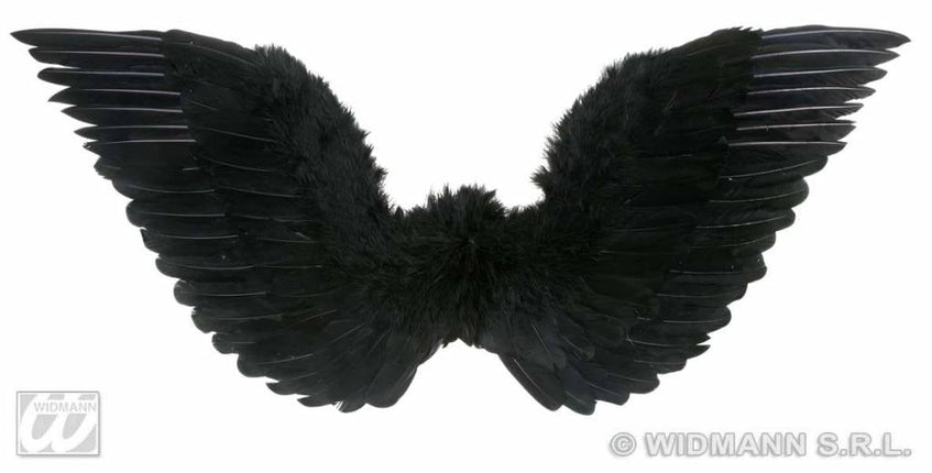Feestbazaar Gevederde vleugels zwart 71x45cm