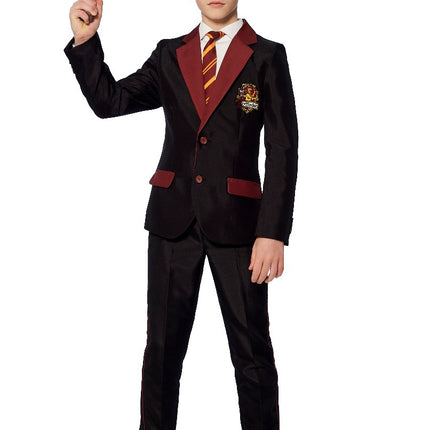 Feestbazaar Gryffindor Verkleedkostuum Harry Potter Kind