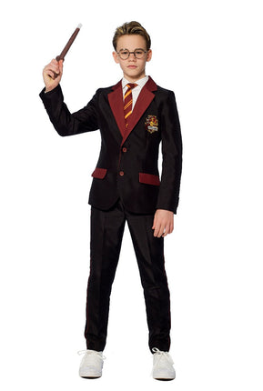 Feestbazaar Gryffindor Verkleedkostuum Harry Potter Kind
