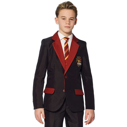 Feestbazaar Gryffindor Verkleedkostuum Harry Potter Kind