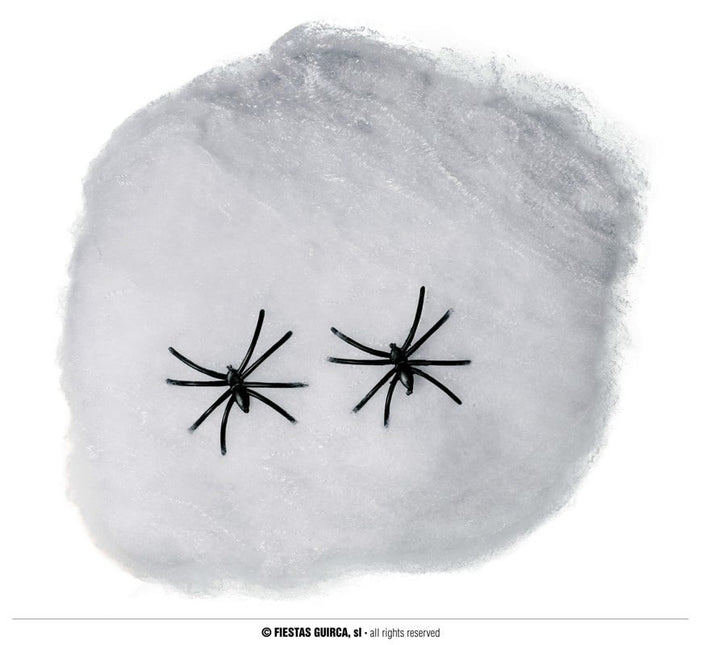 Feestbazaar Halloween Decoratie Spinnenweb 40 Gram
