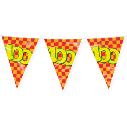Feestbazaar Happy Verjaardag Vlaggenlijn 100 Jaar (10m)