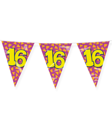Feestbazaar Happy Verjaardag Vlaggenlijn 16 jaar (10m)