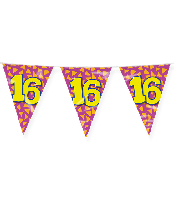 Feestbazaar Happy Verjaardag Vlaggenlijn 16 jaar (10m)