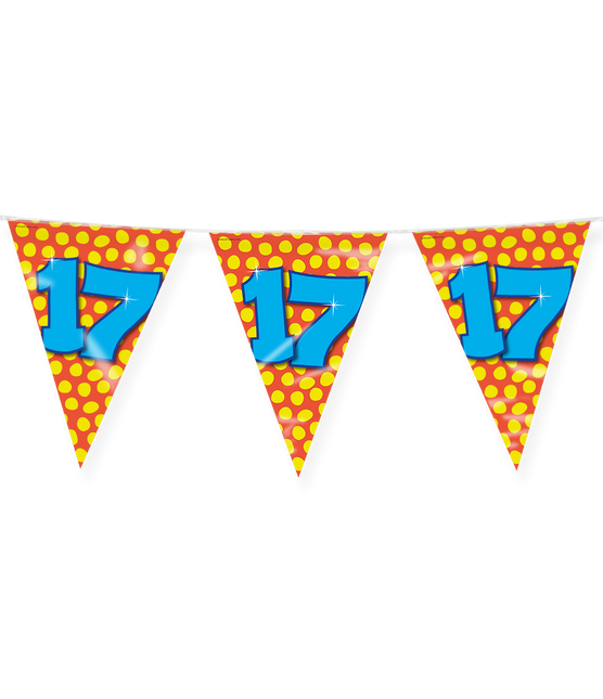 Feestbazaar Happy Verjaardag Vlaggenlijn 17 Jaar (10m)