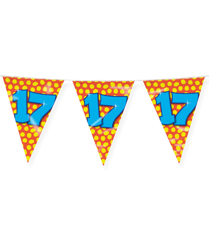 Feestbazaar Happy Verjaardag Vlaggenlijn 17 Jaar (10m)