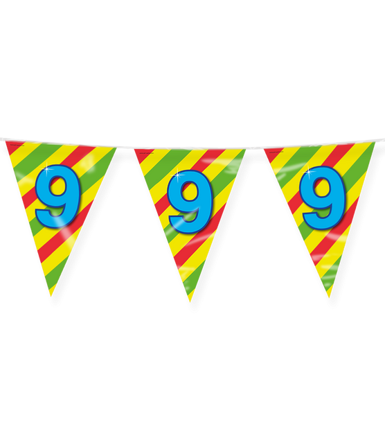 Feestbazaar Happy Verjaardag Vlaggenlijn 9 Jaar (10m)