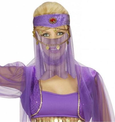 Feestbazaar Harem Danseres set