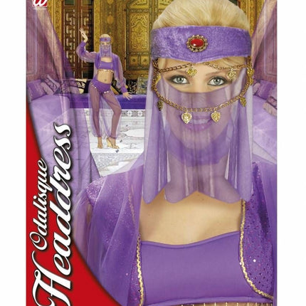 Feestbazaar Harem Danseres set