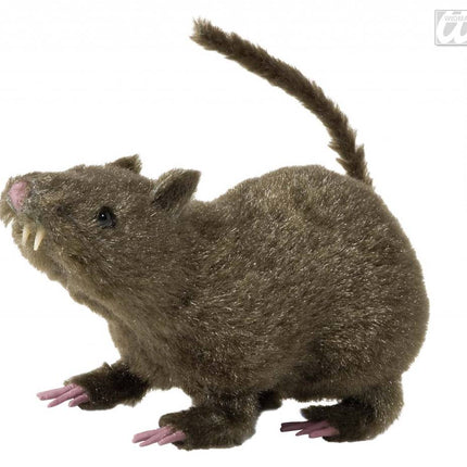 Feestbazaar Harige rat 21cm