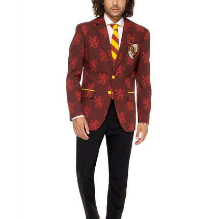 Feestbazaar Harry Potter kostuum opposuits