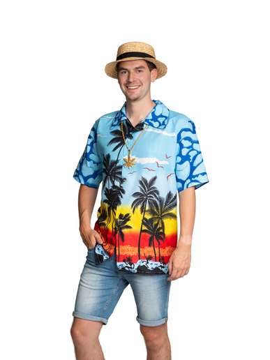 Feestbazaar Hawaii Blouse Paradise Blauw Heren