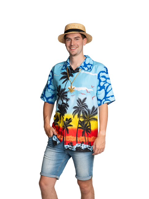 Feestbazaar Hawaii Blouse Paradise Blauw Heren