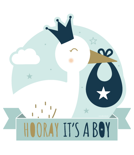 Feestbazaar Huldeschild Hooray It's a Boy (50x50cm)