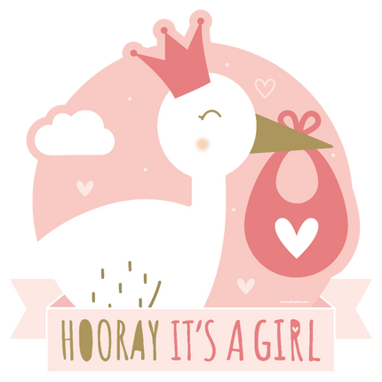 Feestbazaar Huldeschild Hooray It's a Girl (50x50cm)
