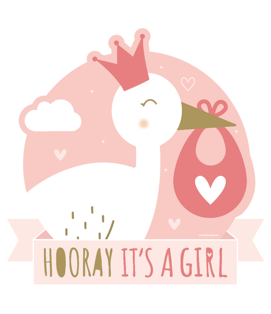 Feestbazaar Huldeschild Hooray It's a Girl (50x50cm)