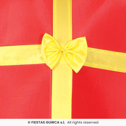 Feestbazaar Ingepakt Kado Gift kostuum Volwassenen