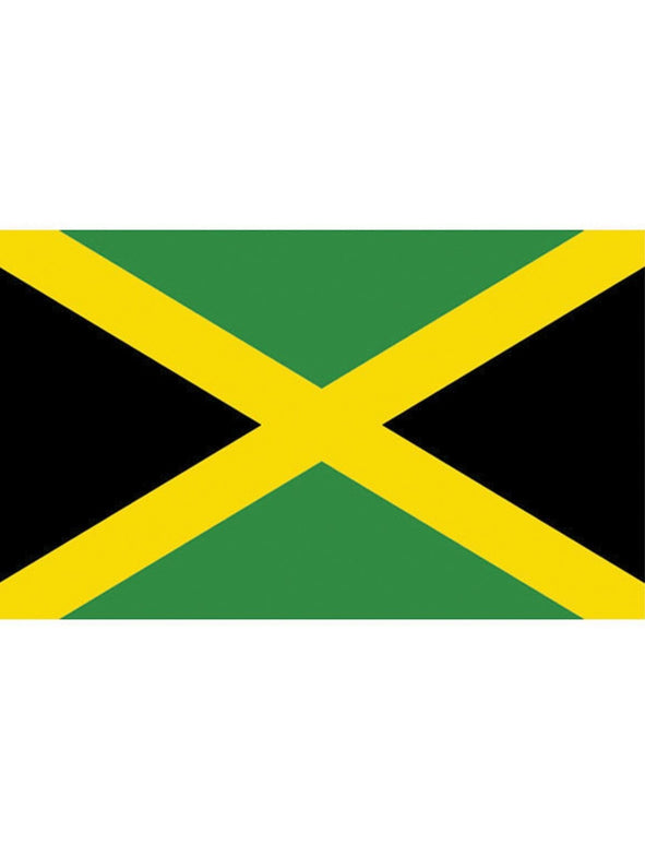 Feestbazaar Jamaicaanse Vlag 90x150cm