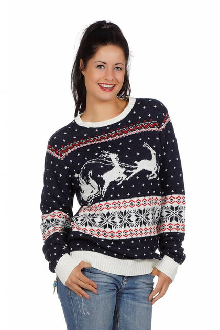 Feestbazaar Kersttrui blauw met slee