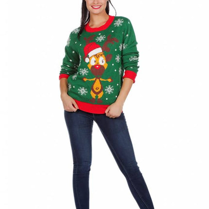 Feestbazaar Kersttrui groen met rendier