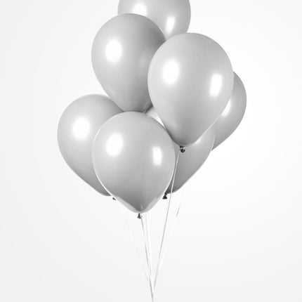 Feestbazaar Latex Ballonnen Cool Grey (10st)