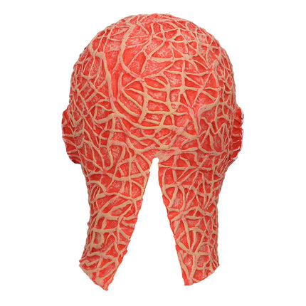 Feestbazaar Latex hoofdmasker Creep