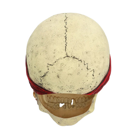 Feestbazaar Latex hoofdmasker Piraat Crinson