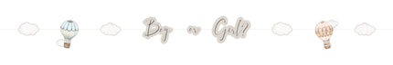 Feestbazaar Letterslinger Baby Balloons Gender Reveal (170cm)