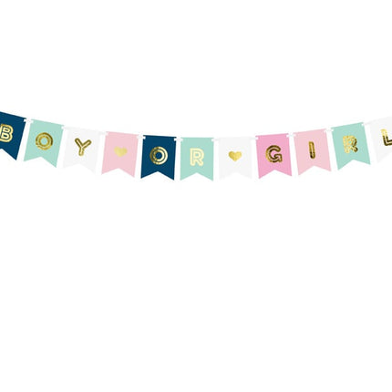 Feestbazaar Letterslinger Boy or Girl 250cm