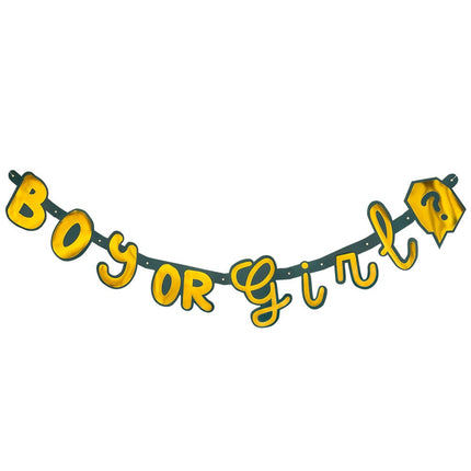 Feestbazaar Letterslinger Gender Reveal 'Boy or Girl' Goud/Groen (1,3m)