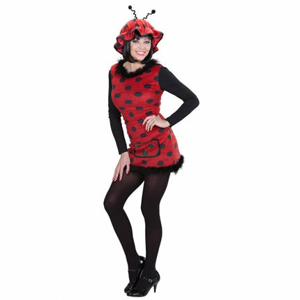 Feestbazaar Lieveheersbeestje kostuum dames pluche