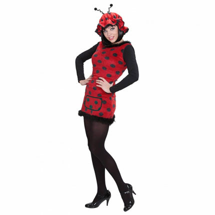 Feestbazaar Lieveheersbeestje kostuum dames pluche